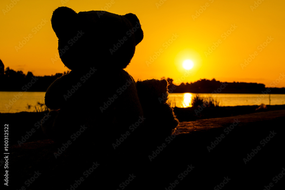 sweet love teddy bear sitting at river sunset background Stock