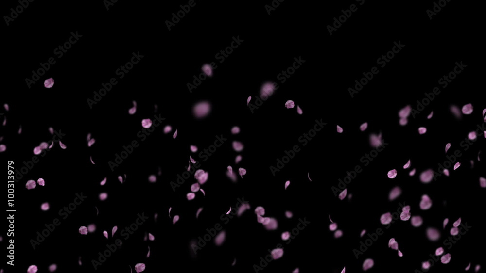 Sakura particle flow-up blackBG Sakura particle flow-up blackBG