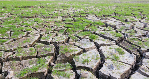 land with dry cracked mud ground