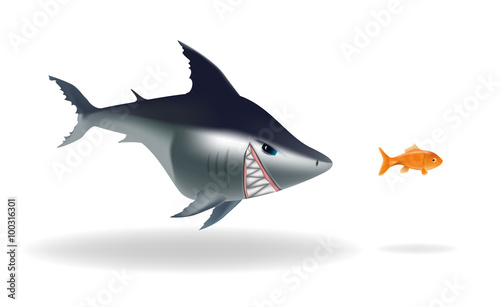 Big scarry shark chasing goldfish