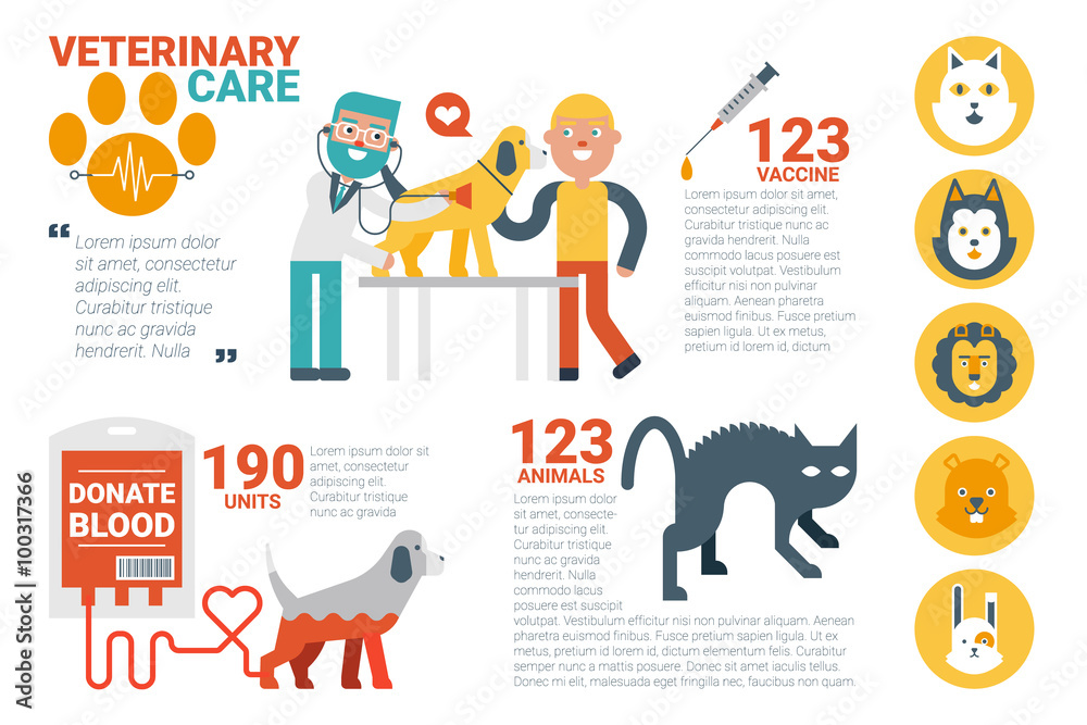Veterinary care infographic