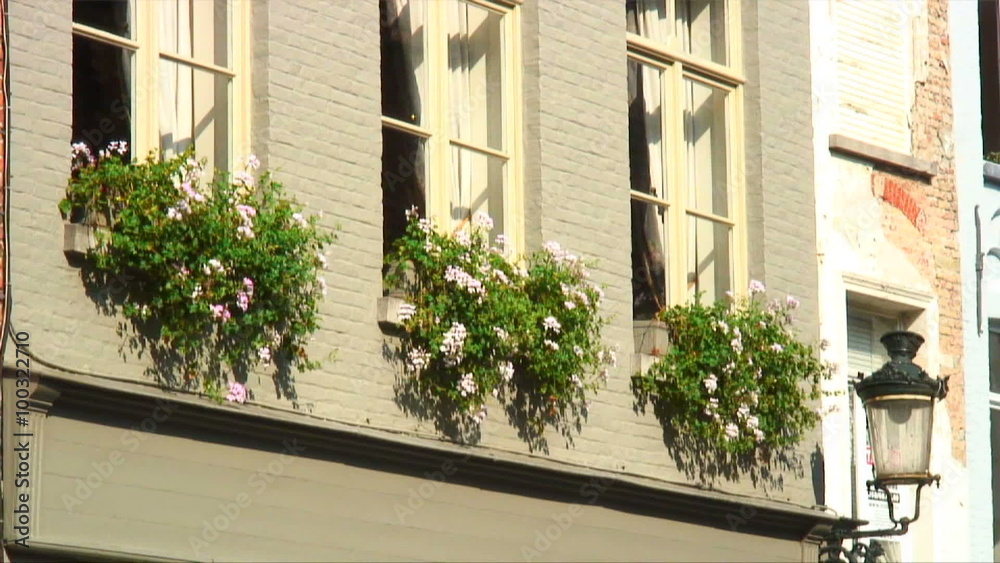 Flowering plants hanging outside windows.