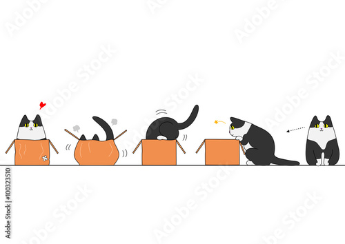 Cat going into a box