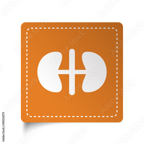 White flat Kidneys icon on orange sticker photo