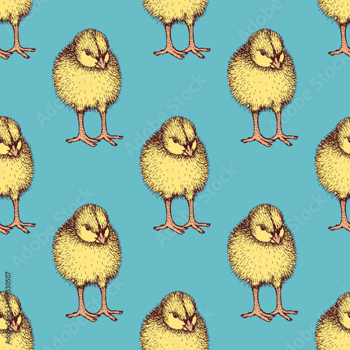 Sketch chiken pattern