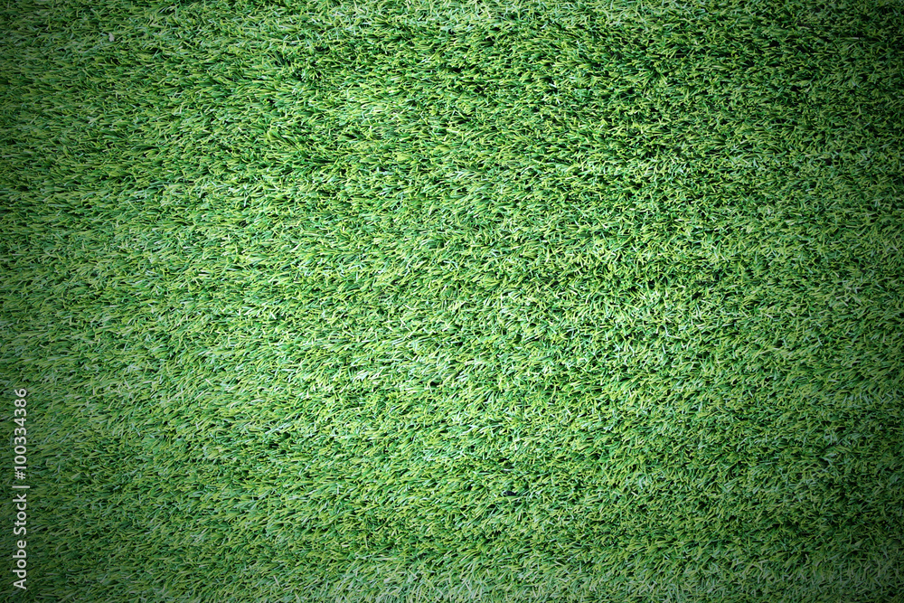 Obraz premium Green grass nature background texture