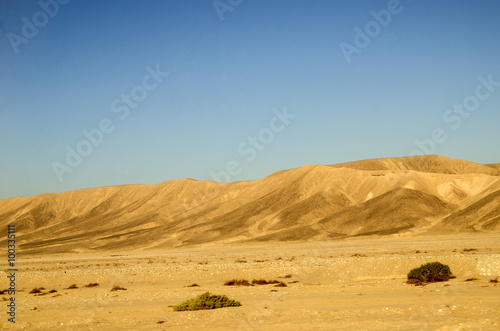 Sahara desert sand dunes © Studio-M