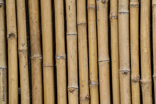 Bamboo wall background