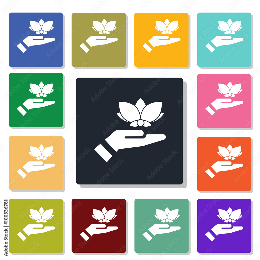 lotus icon lotus icon