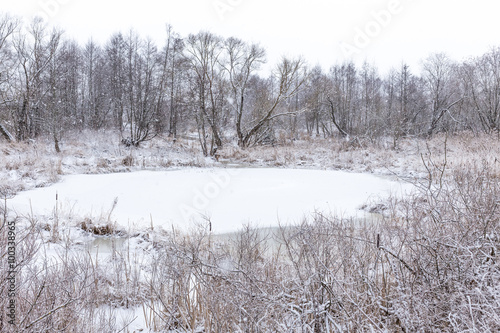 Wallpaper Mural Зимний пейзаж Torontodigital.ca