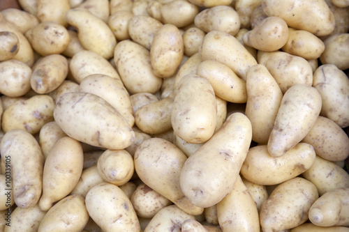 Potato Background