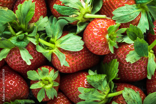 Farm fresh whole strawberries