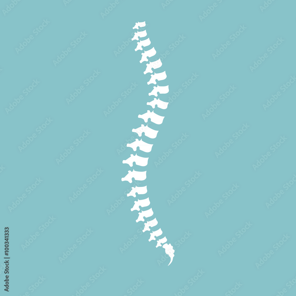 Spine diagnostic center Spine diagnostic center