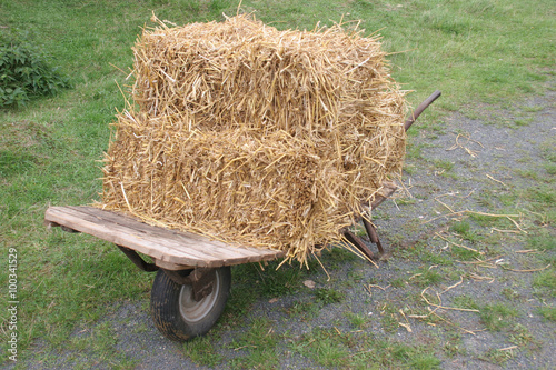 Foto straw bales on a wheelbarrow