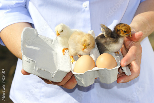 фотографія countrywoman is presenting a paperbox with eggs and chicken