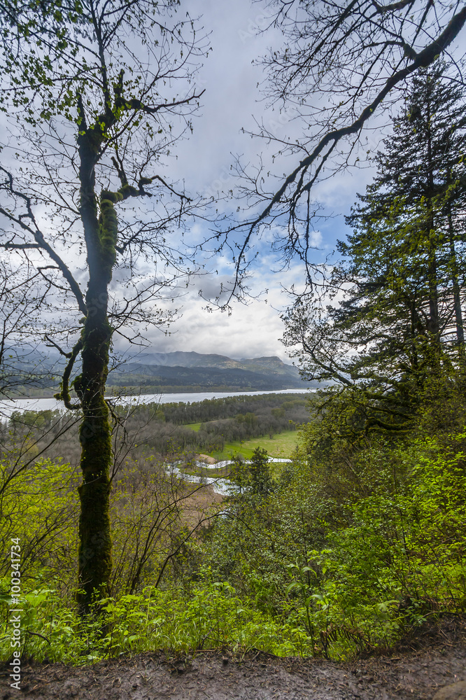 Scenic Overlook of Columbia River Gorge in Oregon Scenic Overlook of Columbia River Gorge in Oregon