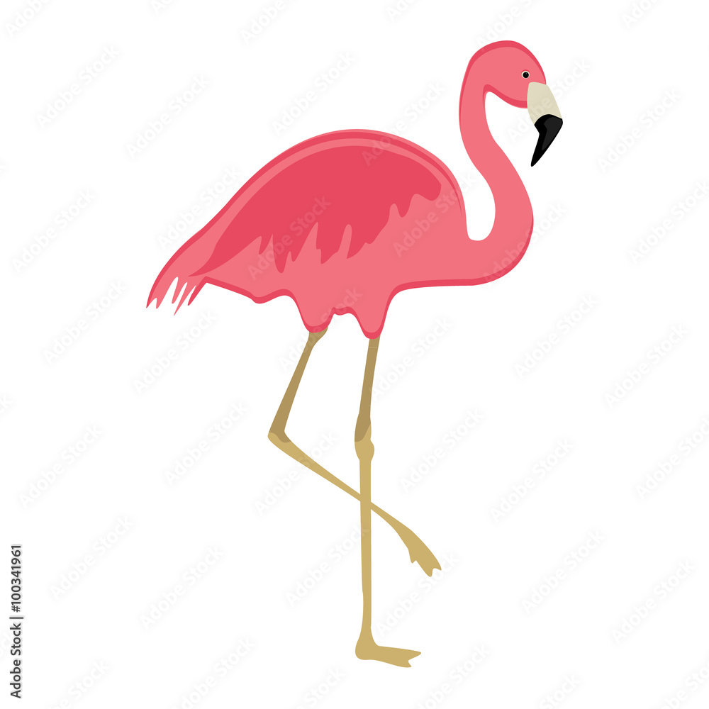 Pink flaming bird