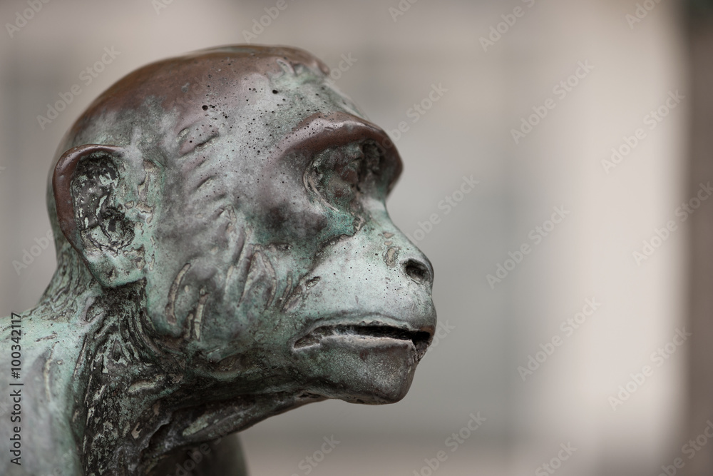 Ein Affenkopf aus Bronze als Wasserspeier - Seitenansicht