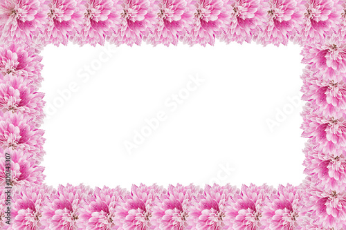 Flower frame from chrysanthemums