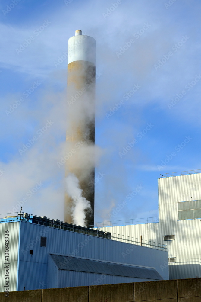 Chimney with smoke from factory and flock of birds in flight Chimney with smoke from factory and flock of birds in flight
