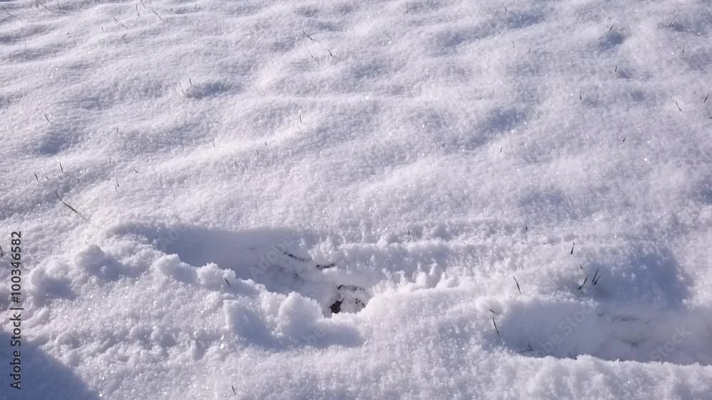 Woman walking on snowy path. Weight loss concept. Lifestyle footage from winter season. Woman walking on snowy path. Weight loss concept. Lifestyle footage from winter season.