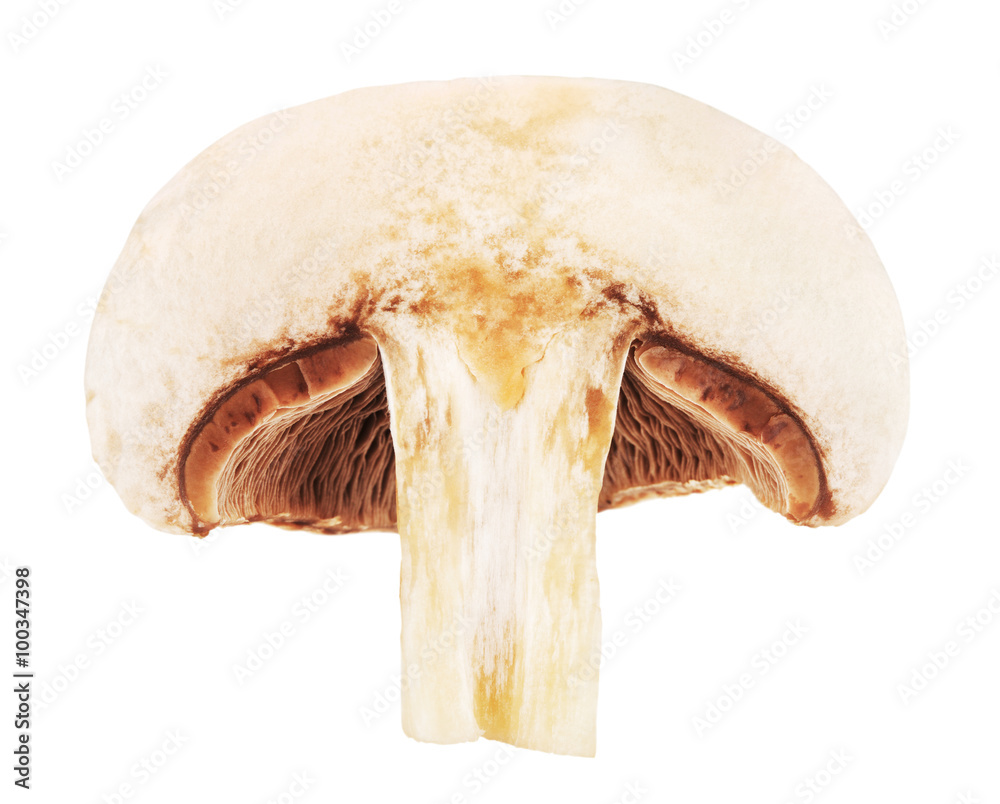 Fresh Champignon Mushroom Fresh Champignon Mushroom