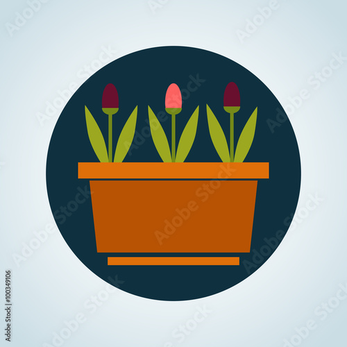 Color illustration of tulip in the pot