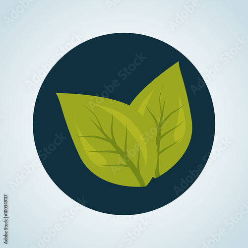 Color illustration of plant leafs