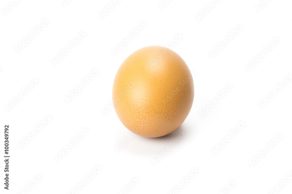 Single brown chicken egg isolated on white Single brown chicken egg isolated on white