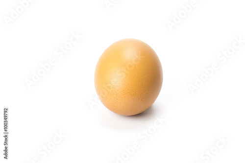 Single brown chicken egg isolated on white
