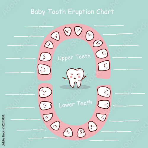 Baby tooth chart record
