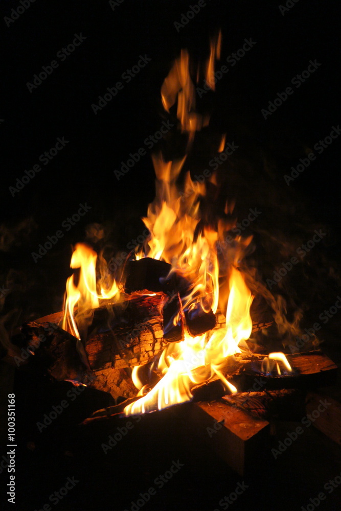 Burning firewood in the night fire