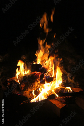 Burning firewood in the night fire
