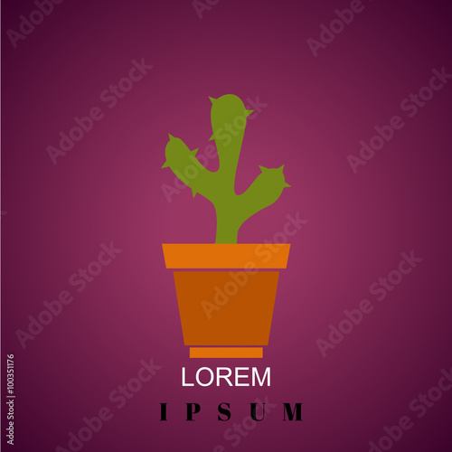 Color illustration of cactus in a pot
