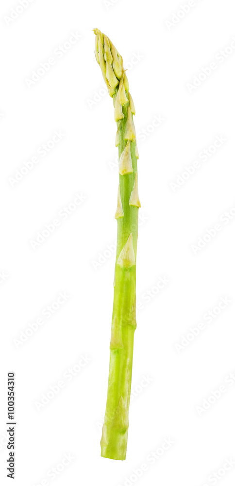 Fresh Green Asparagus Fresh Green Asparagus