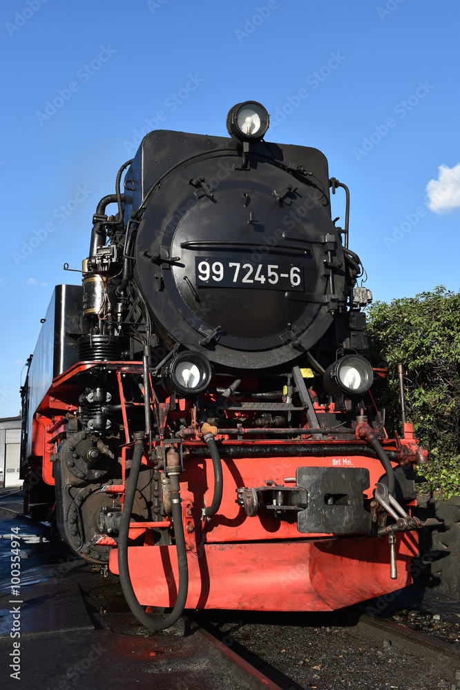 Fototapeta premium Brockenbahn