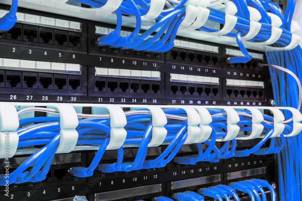 Close up of blue network cables connected to patch panel Stock Photo ...