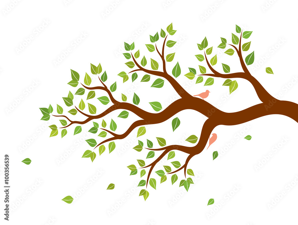 Vector illustration of tree branch with green leaves and two birds on white background. Wall sticker. Vector illustration of tree branch with green leaves and two birds on white background. Wall sticker.