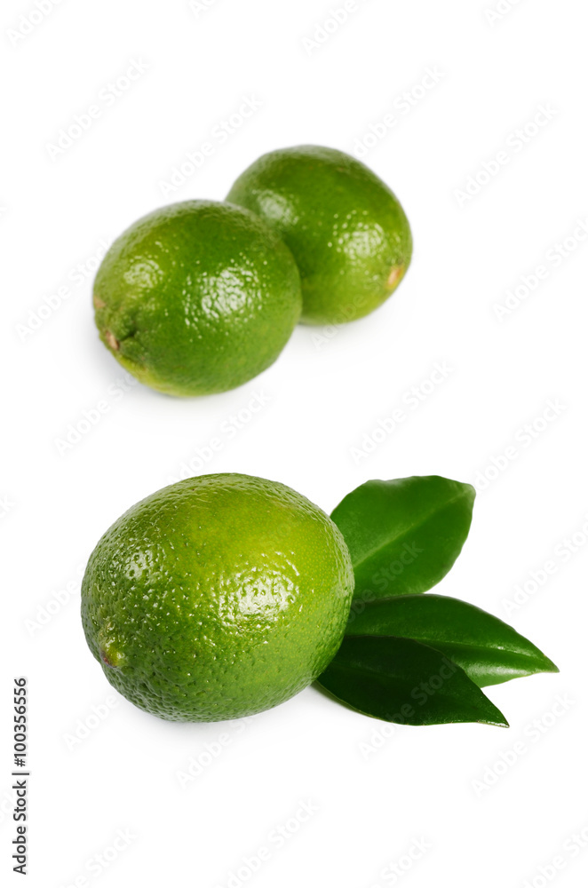 The fresh lime isolated on a white background The fresh lime isolated on a white background