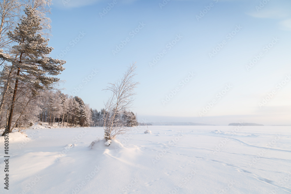 Snowy trees, forest and lake in Tampere, Finland at a sunny day in the winter.