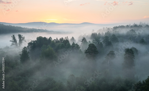 Deer Springs Nature Park, before dawn, heavy fog © Alexander Gogolin