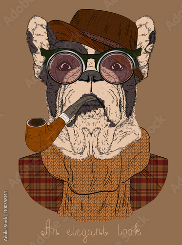French bulldog with Tobacco Tube and glasses