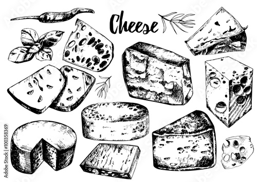 hand drawing set with different cheeses. 