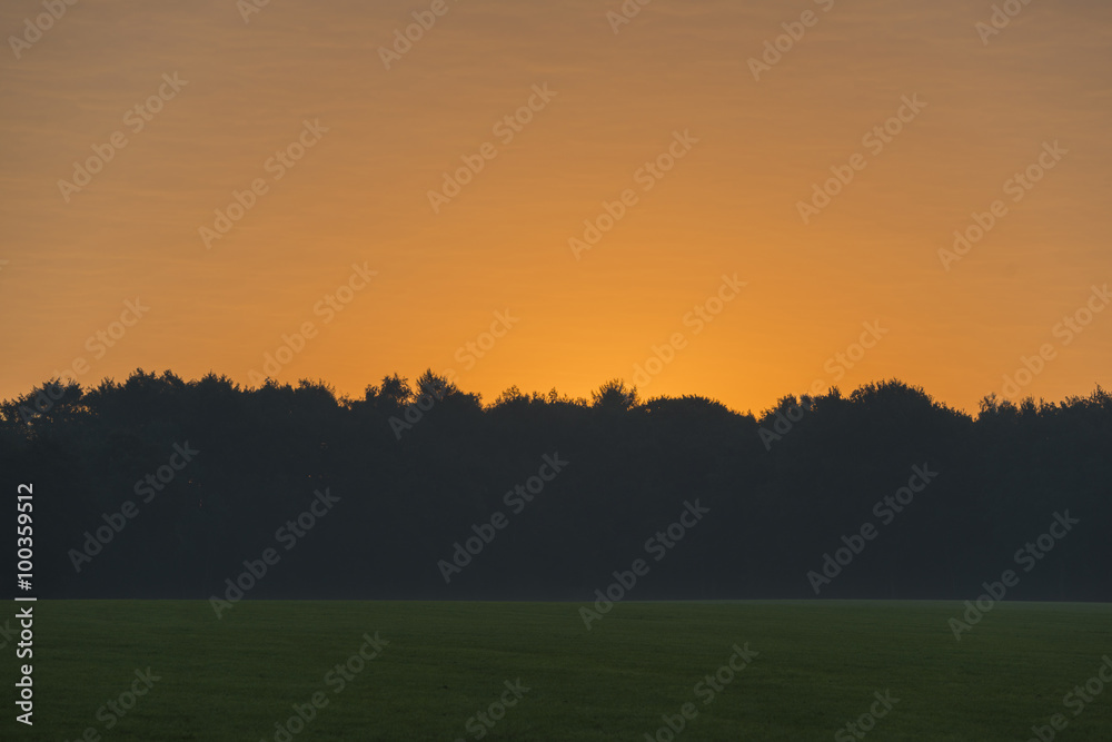 Sunrise above a meadow and forest as a background.