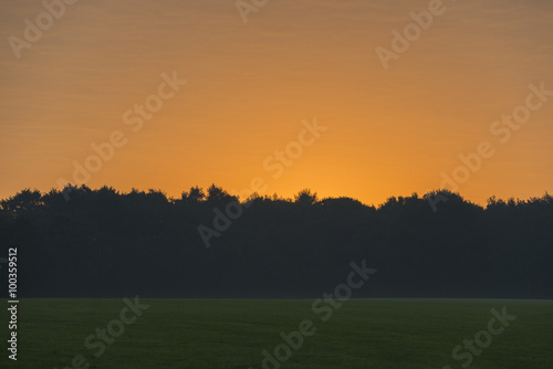 Sunrise above a meadow and forest as a background.