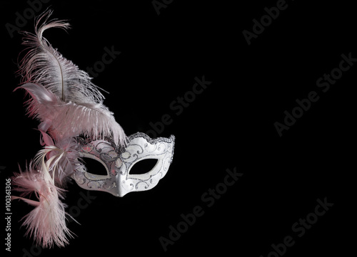 Tableau sur toile carnival mask red