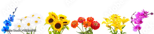 various bouquet of flowers isolated on white background