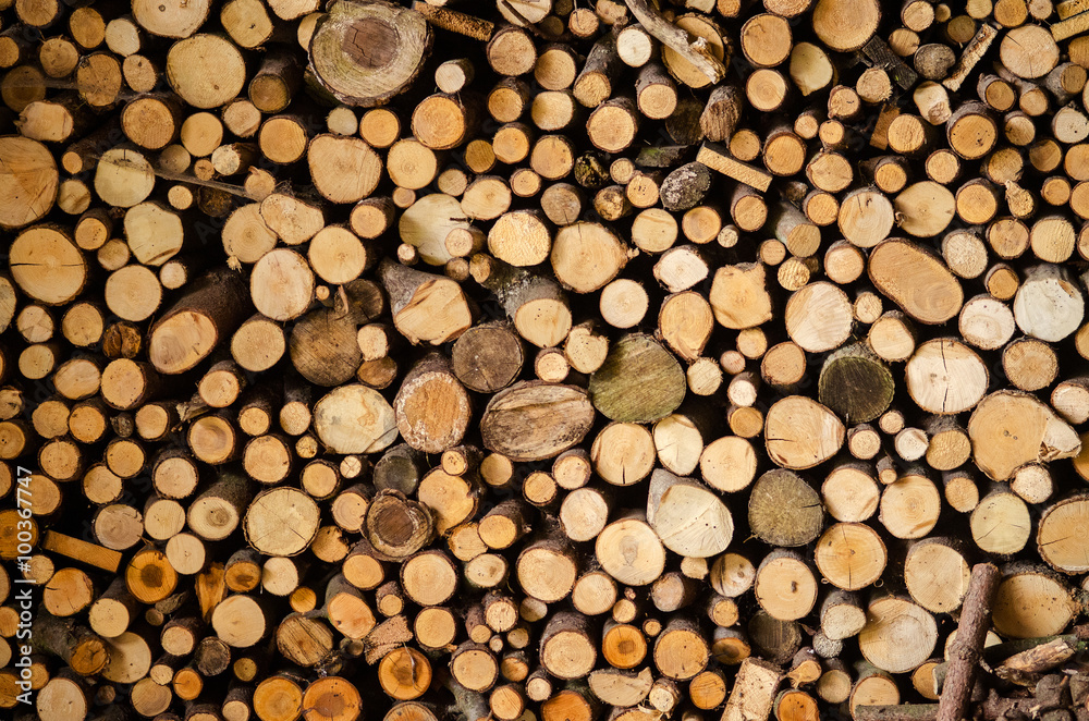Stack of wood prepared for winter