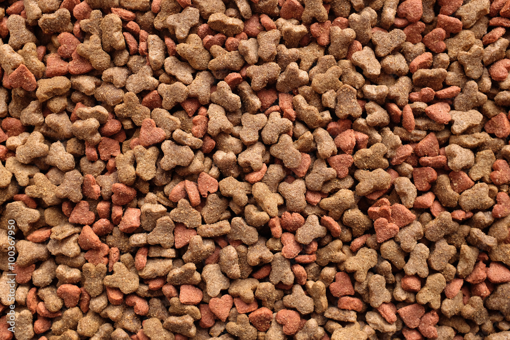 Fototapeta premium Dried cat food background