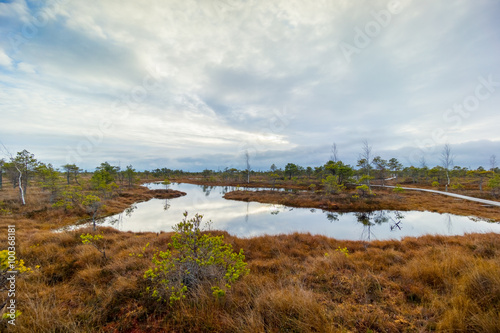 Kemeri swamp landscape